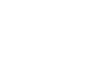 The image shows the Emirates logo. It features 